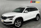 ŠKODA Kodiaq 2019 года с пробегом 302 907 км